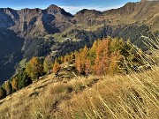 22 In decisa-ripida salita per la cima del Monte Arete (2227 m) tra larici colorati d'autunno 